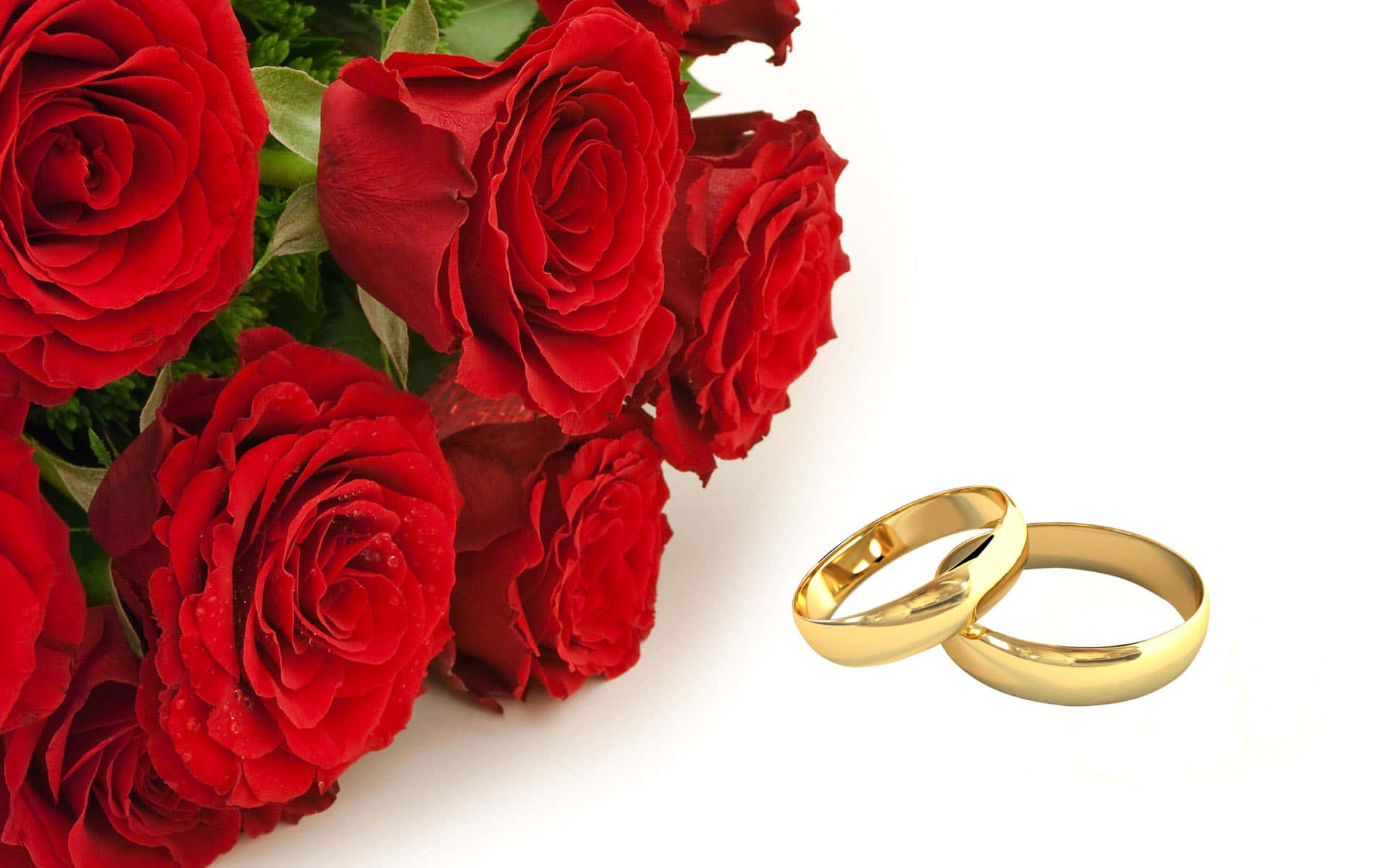 Roses And Golden Wedding Ring Wallpaper