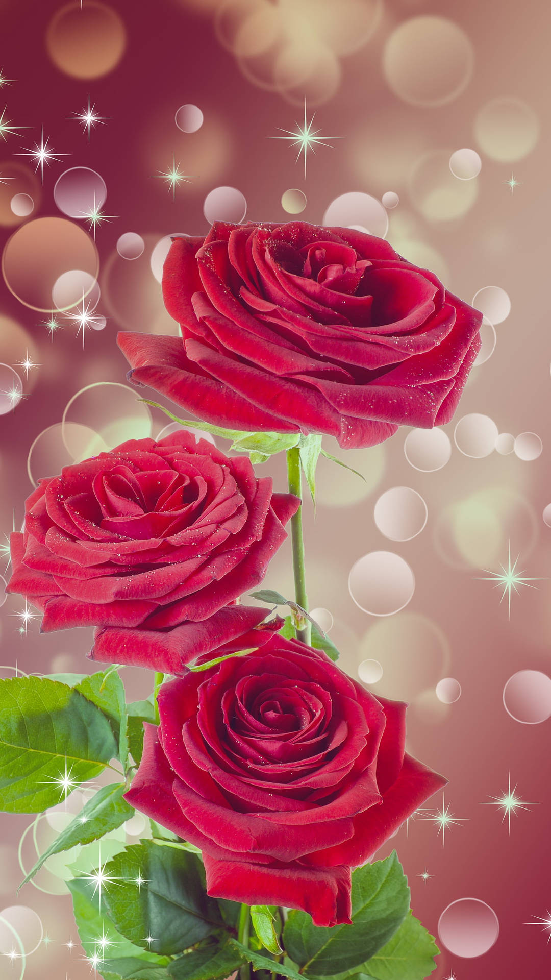 Rosesy Flores Brillantes Para Móviles Fondo de pantalla