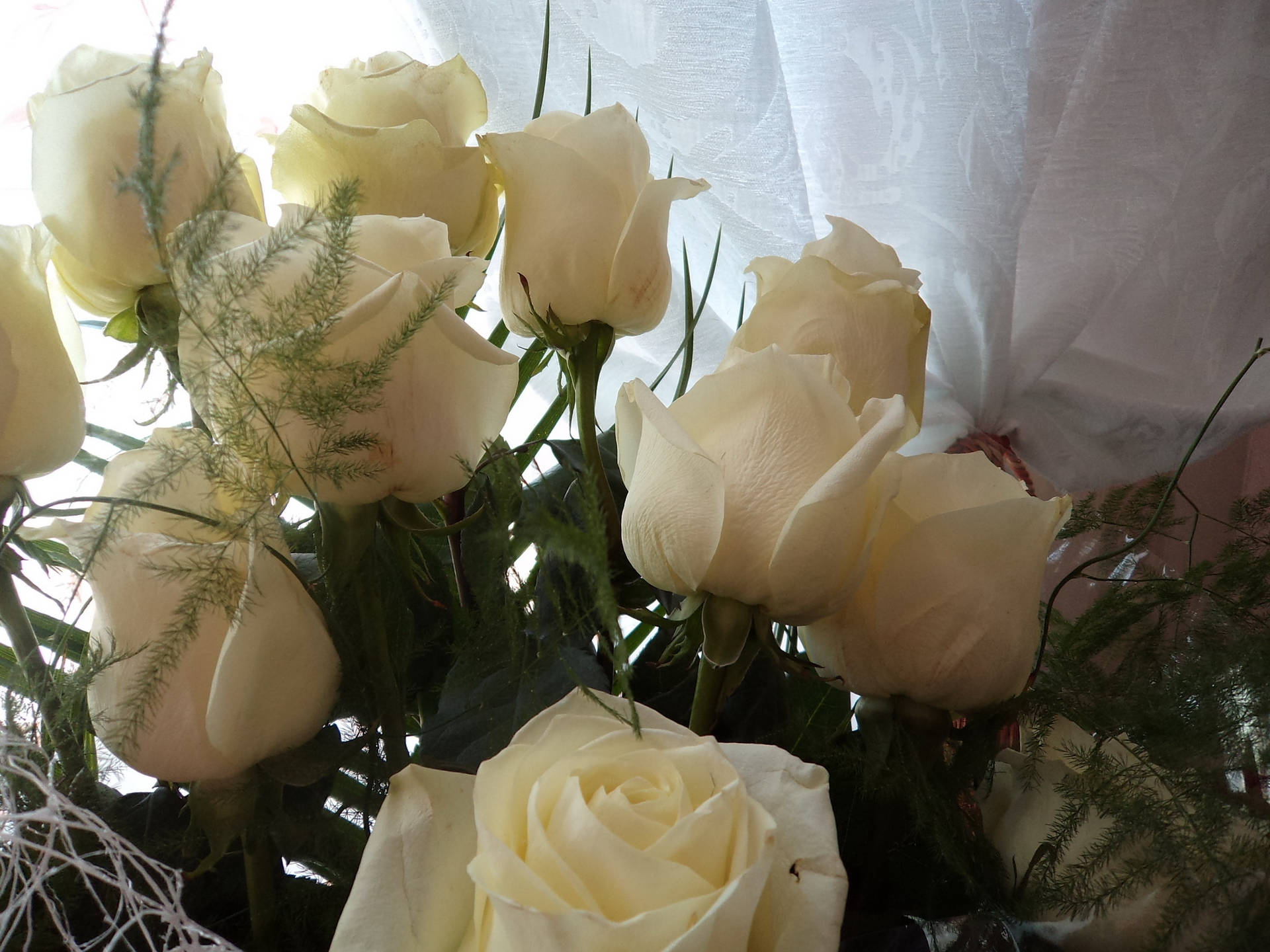 A bouquet of white roses Wallpaper