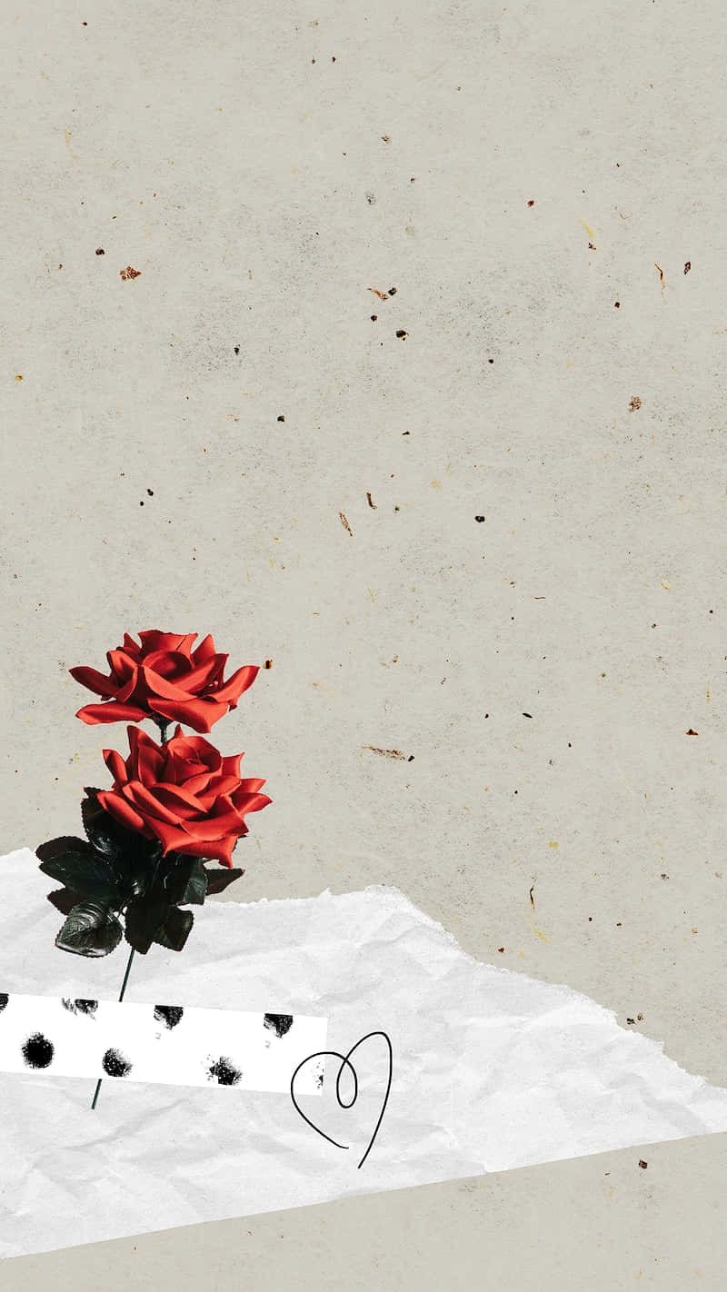 Roses For Instagram Stories Wallpaper