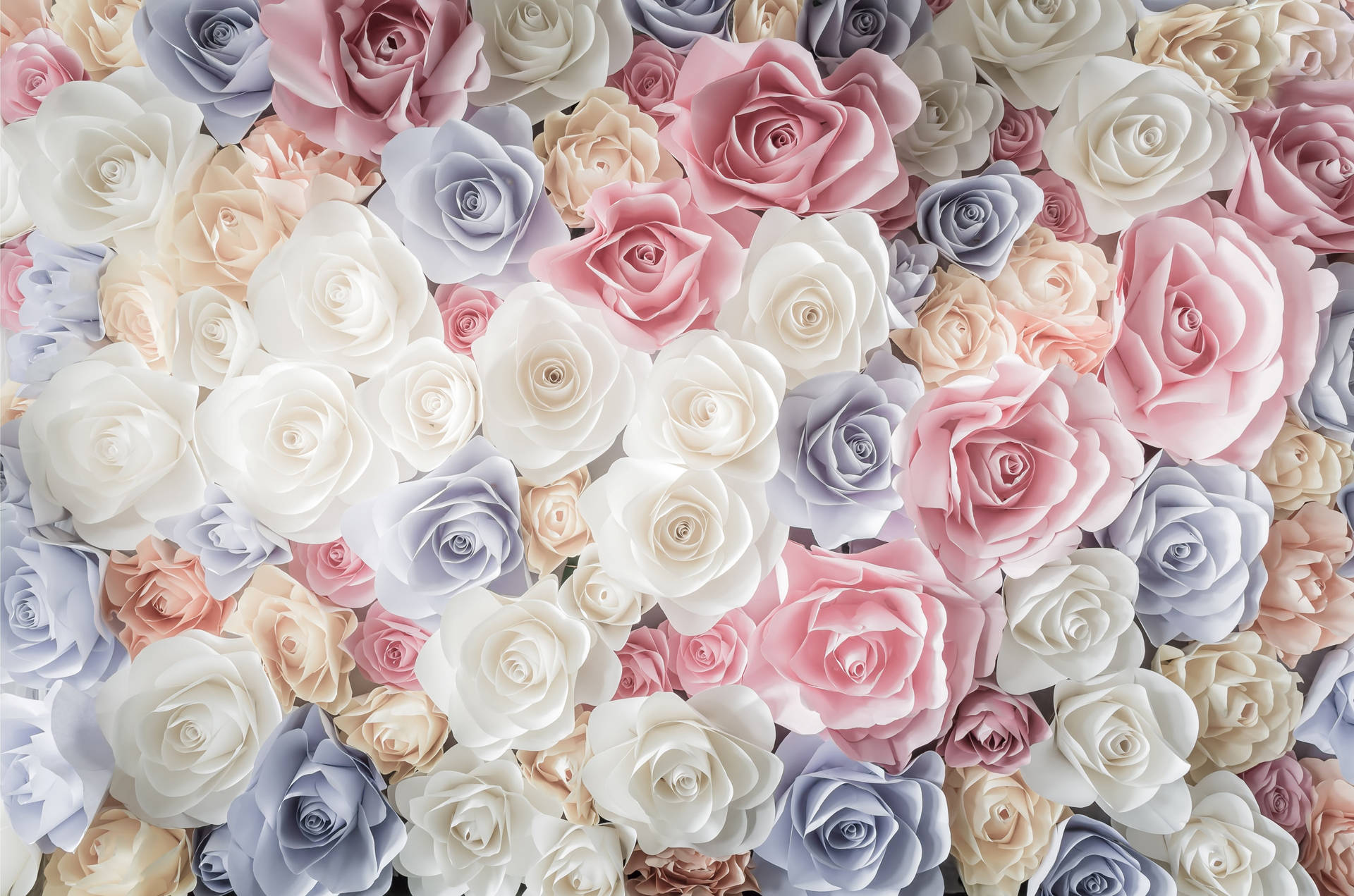 Roser Fuldskærms 4K Blomster Digital Kunst Wallpaper Wallpaper