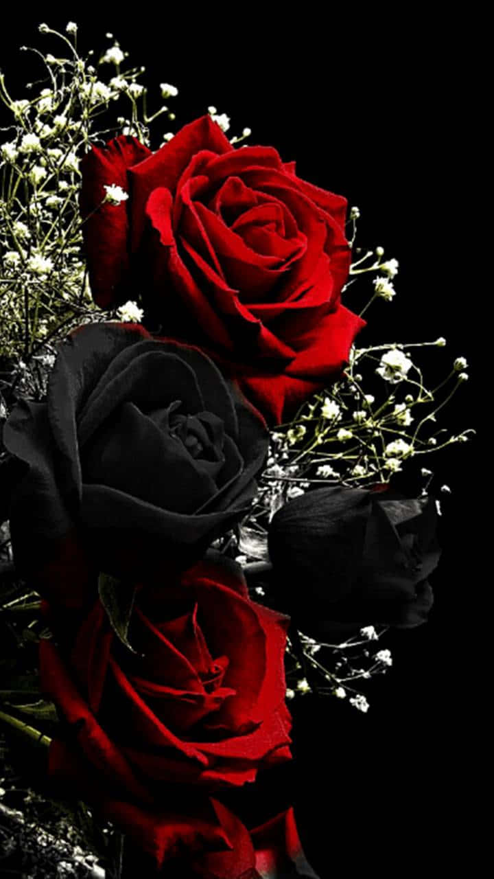 Bildvon Rosen Mit Weißen Blumen