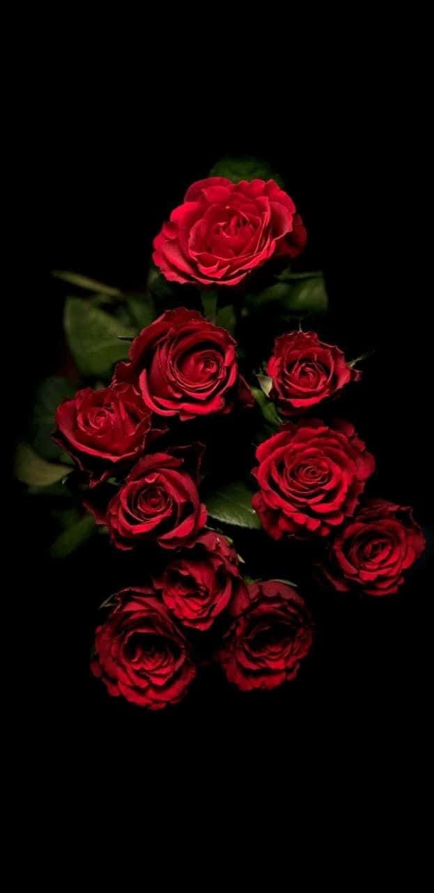 Enmasse Billeder Af Røde Roser.