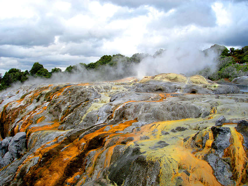 Rotorua Geothermal Landscape Wallpaper
