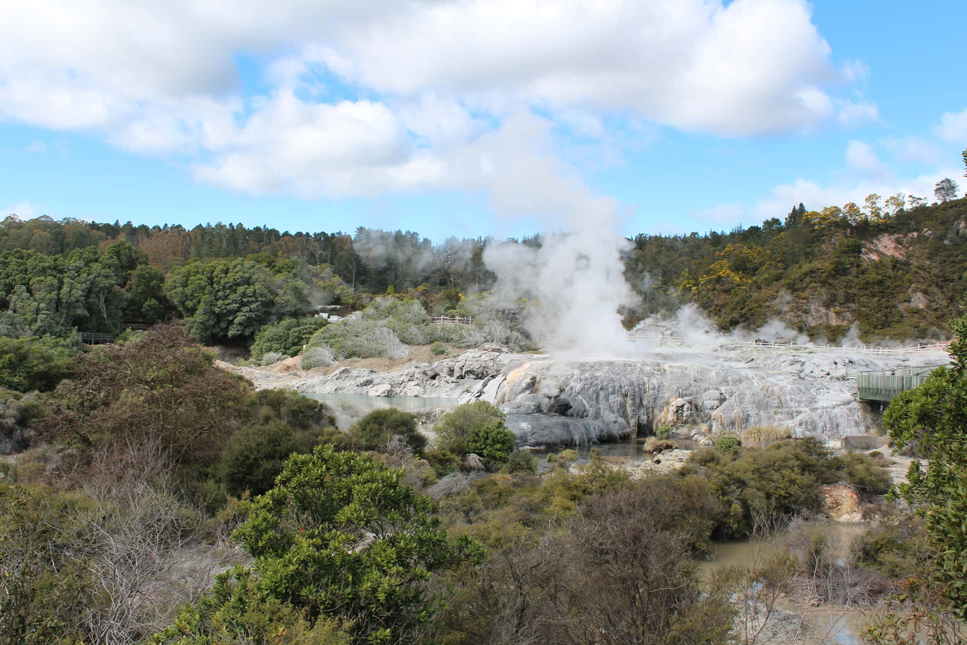 Rotorua Geothermal Park Steam Vents Wallpaper