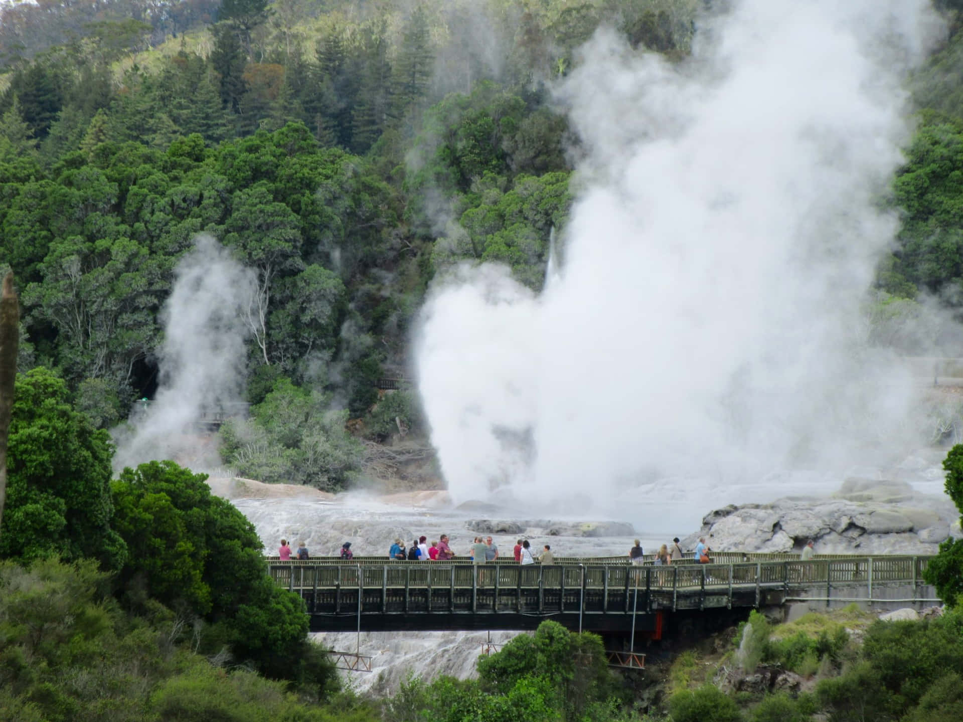 Rotorua Geothermal Park Visitors Wallpaper