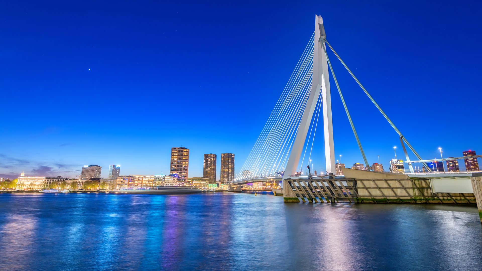 Pemandangan Malam Jembatan Erasmus Rotterdam Wallpaper