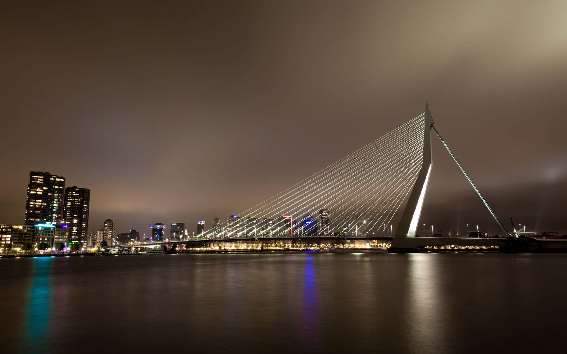 Rotterdam Erasmus Bridge Night View Wallpaper