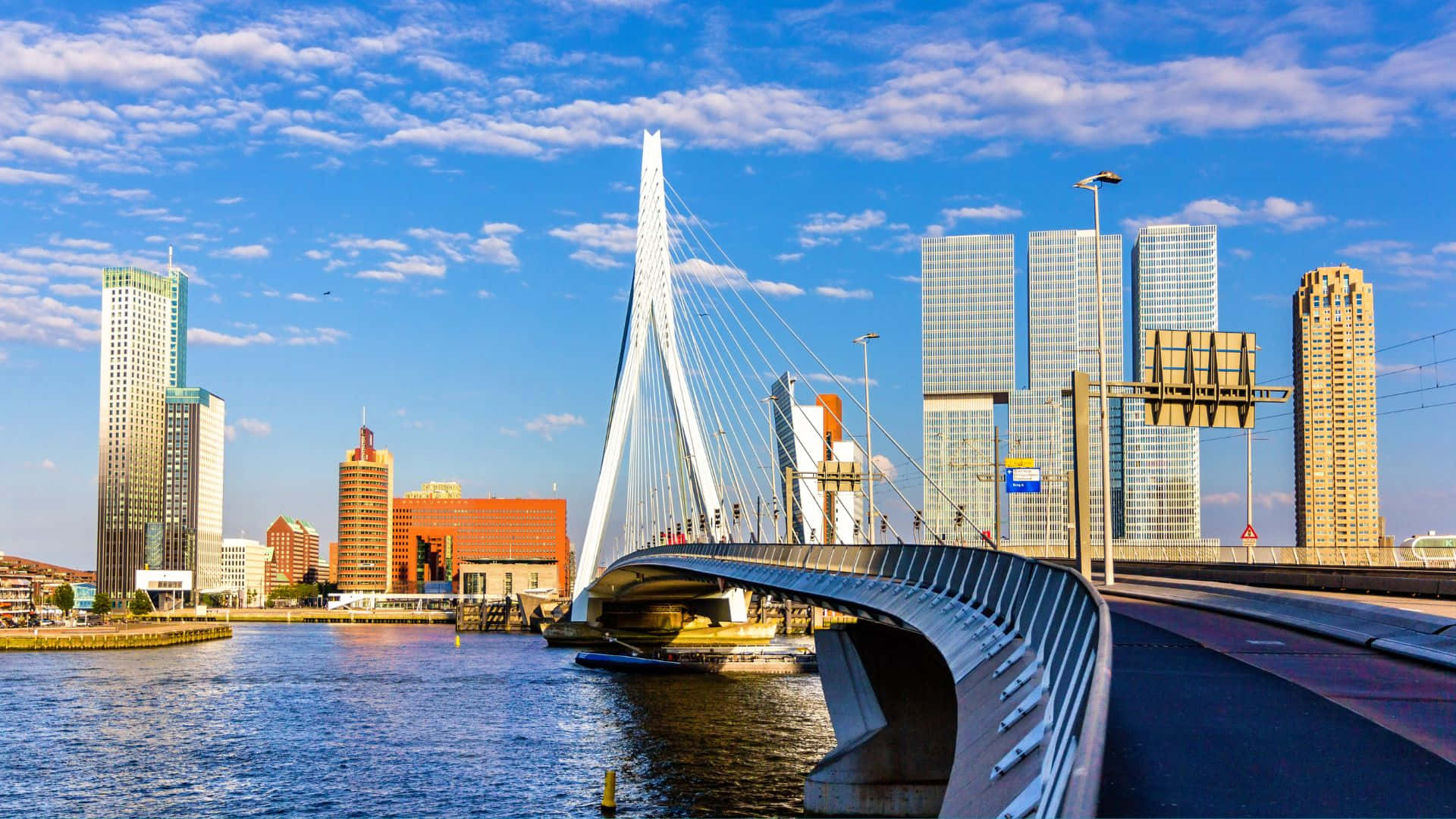 Rotterdam Erasmus Bridge Skyline Wallpaper