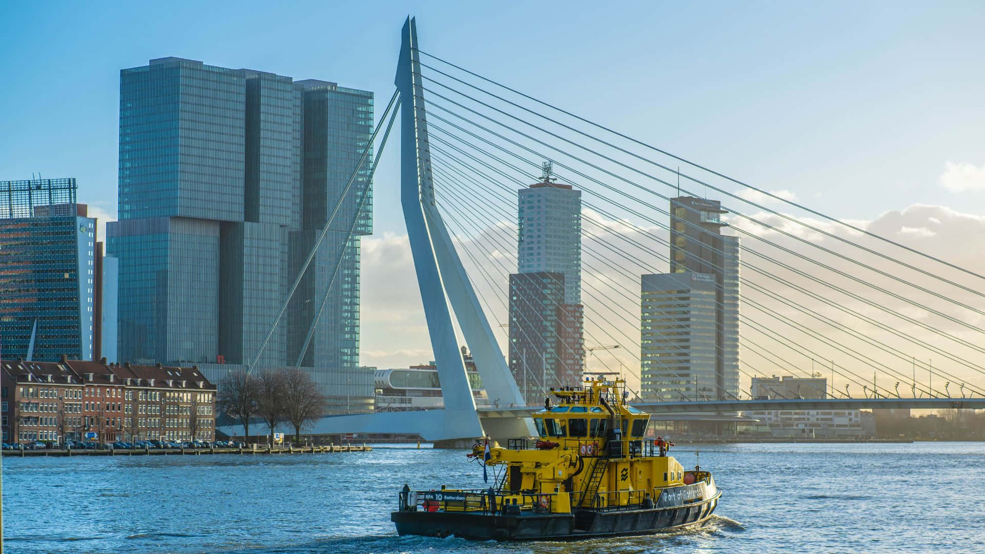 Rotterdam Erasmus Bridge Skyline Wallpaper