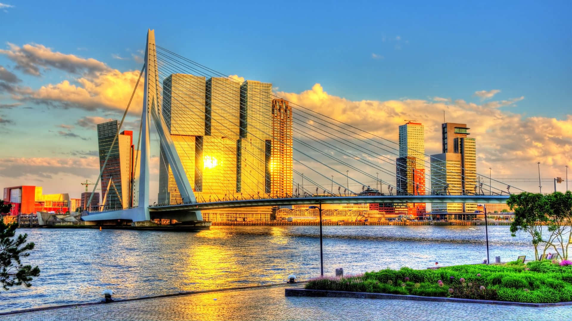 Rotterdam Erasmus Bridge Sunset Wallpaper
