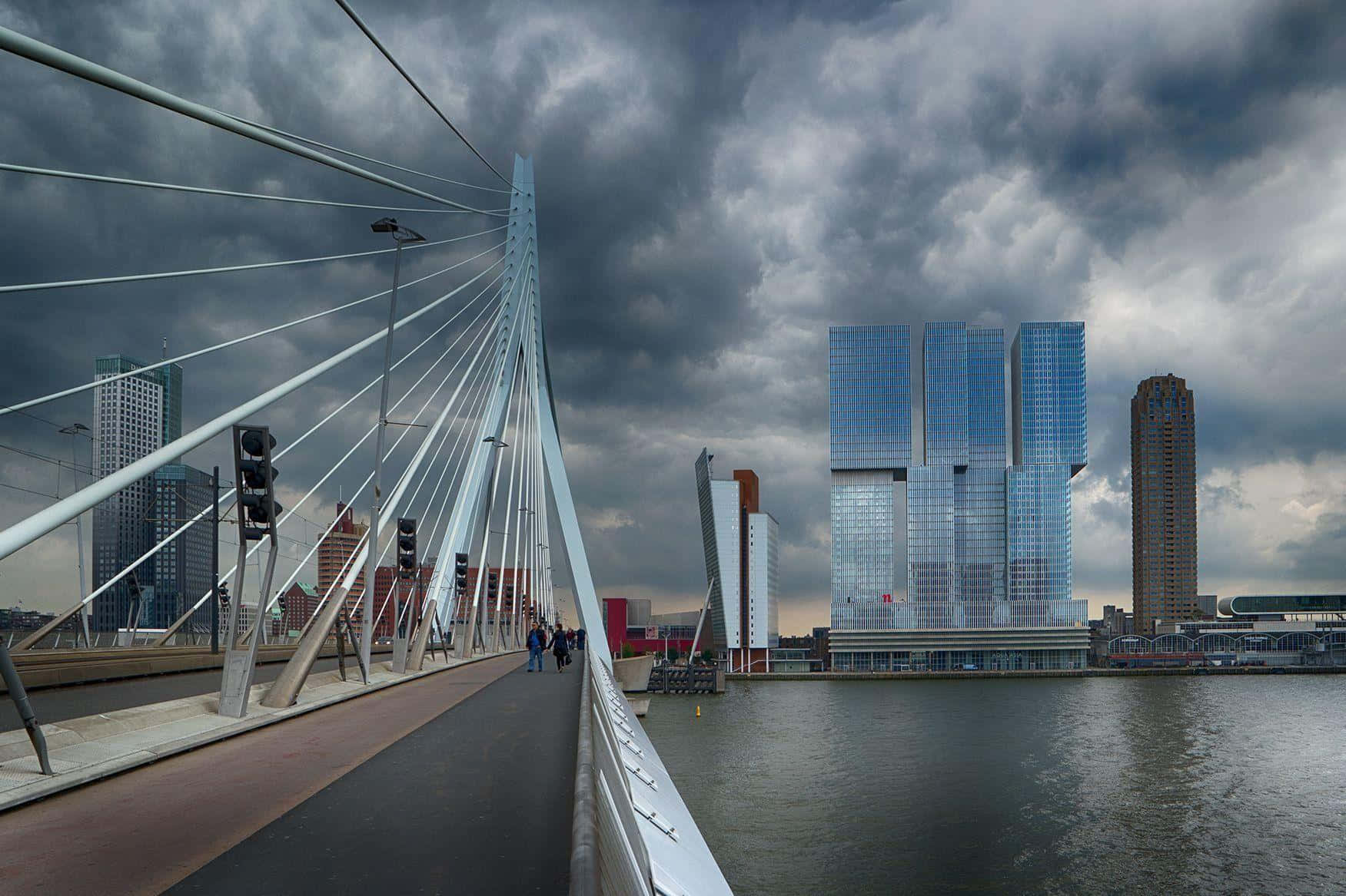 Rotterdam Erasmus Bridgeand Skyline Wallpaper