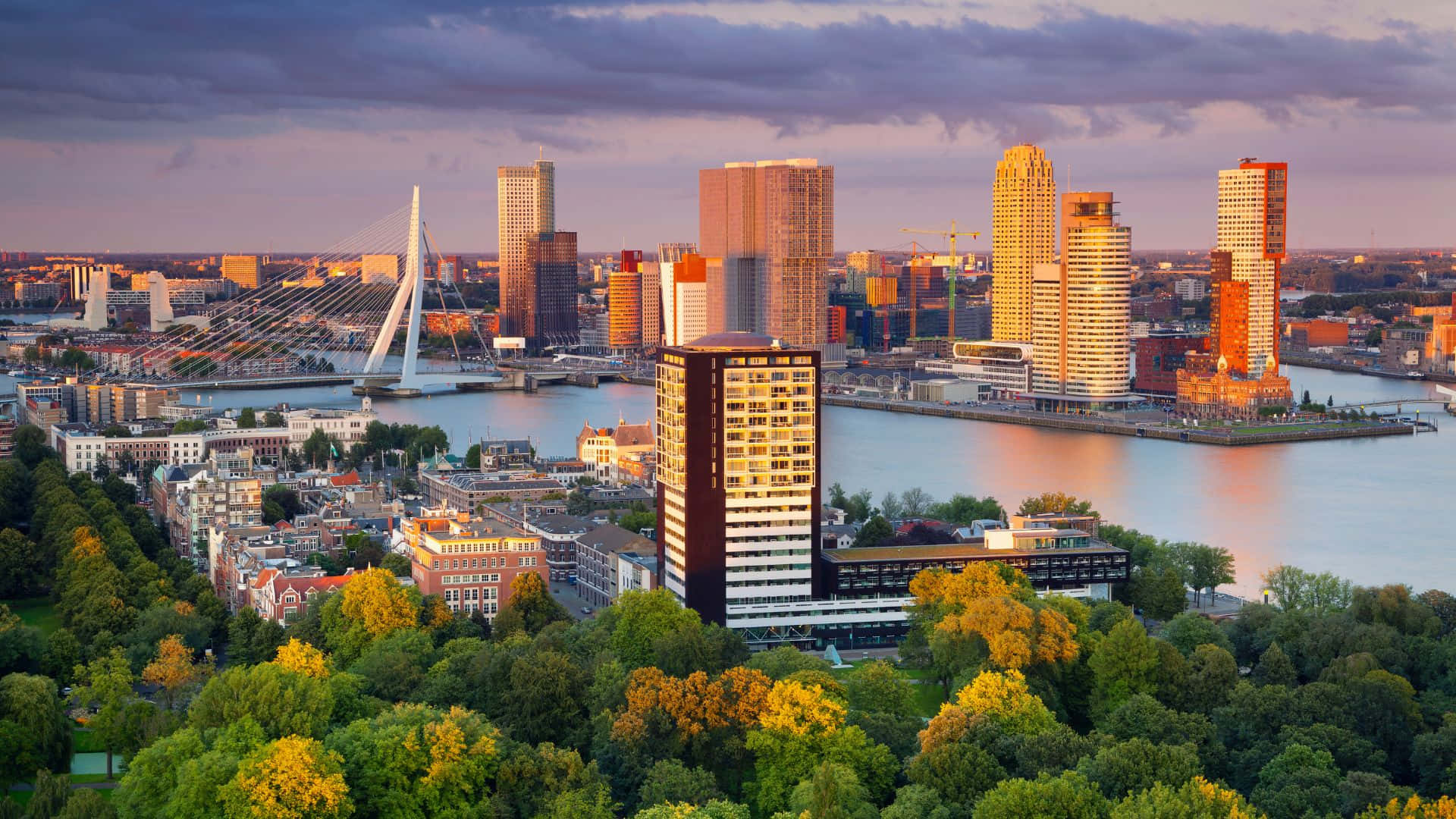 Rotterdam Skyline Dusk Utsikt Bakgrunnsbildet