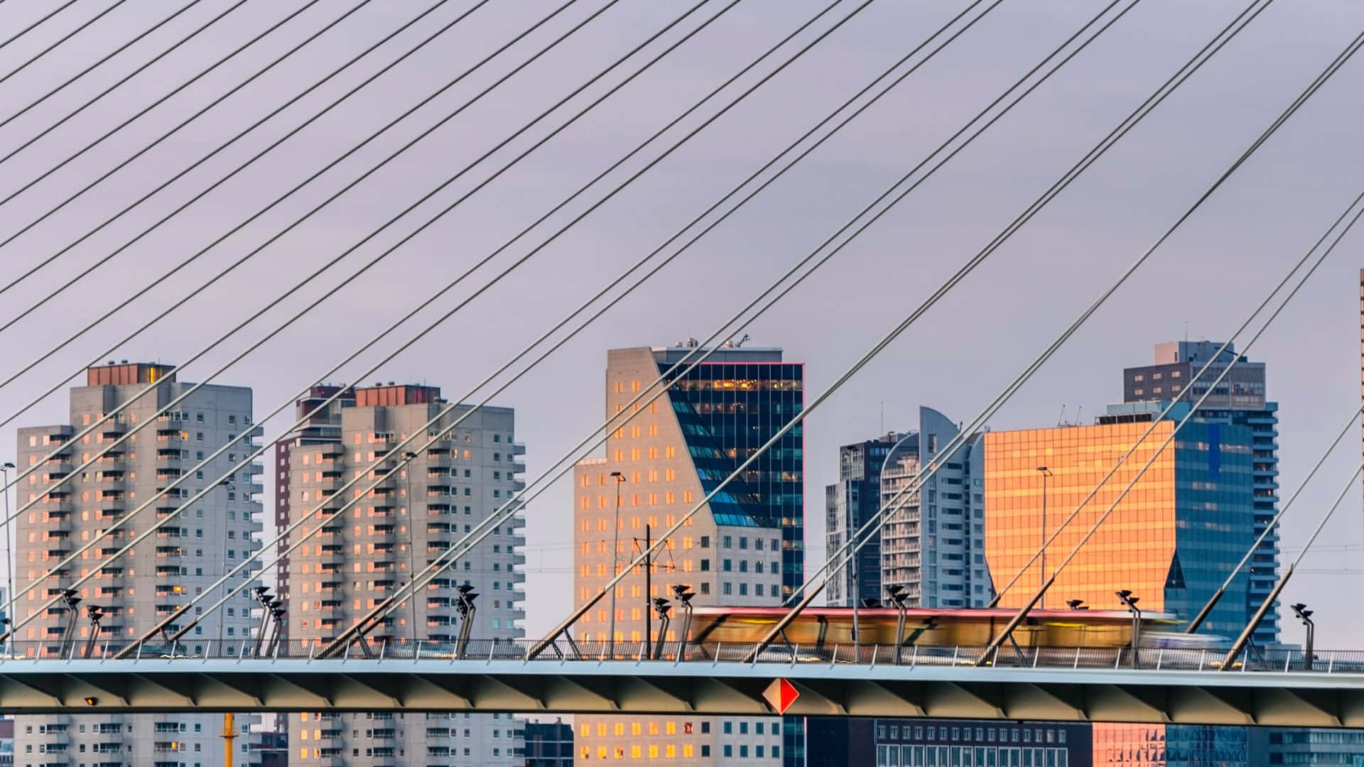 Rotterdam Skylineand Erasmus Bridge Wallpaper
