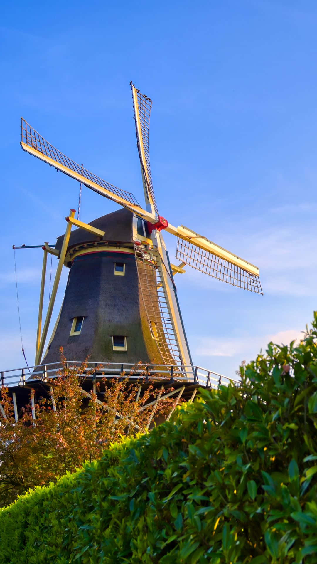 Rotterdam Windmill Against Blue Sky Wallpaper