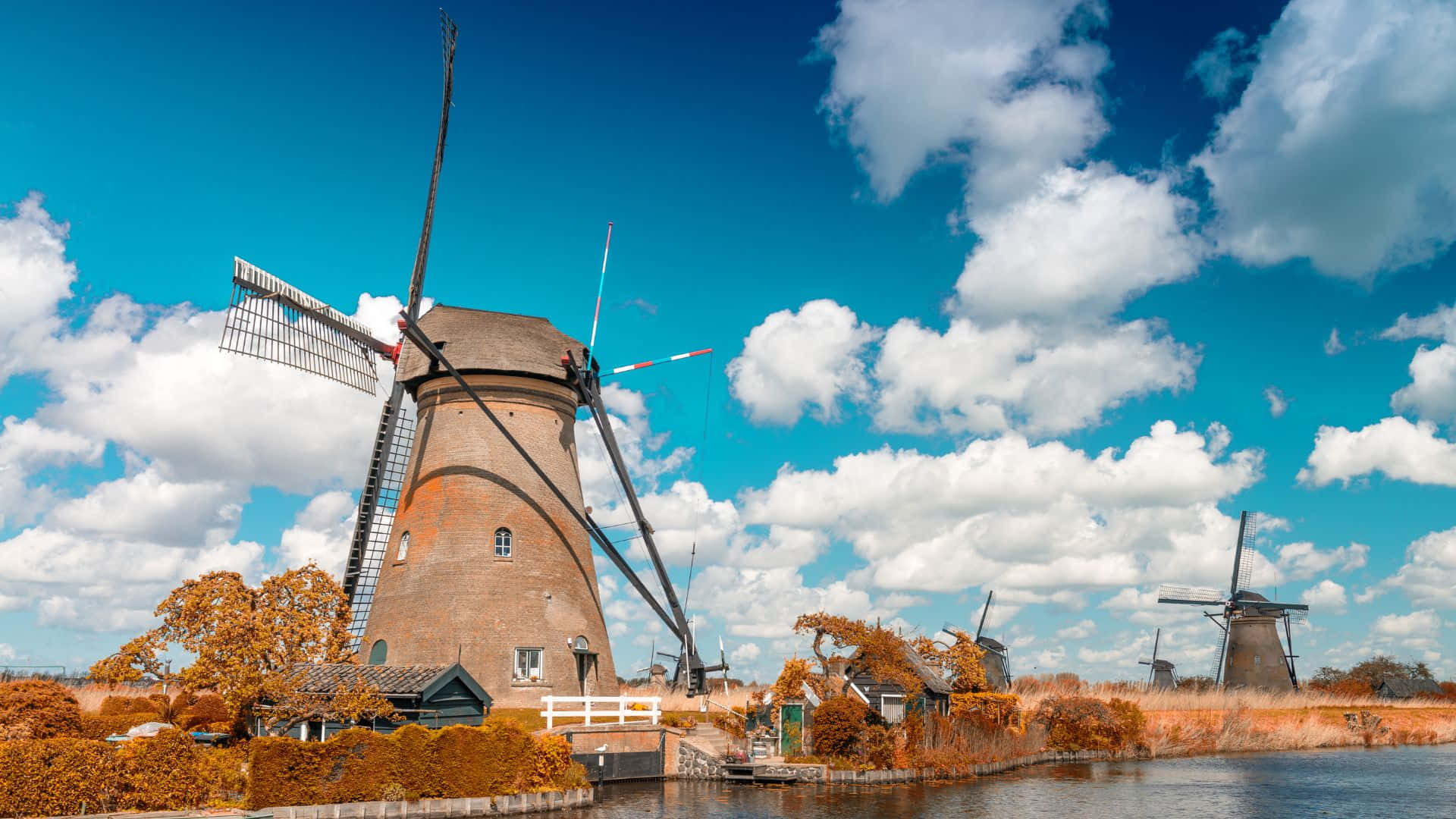 Rotterdam Windmills Skyline Wallpaper