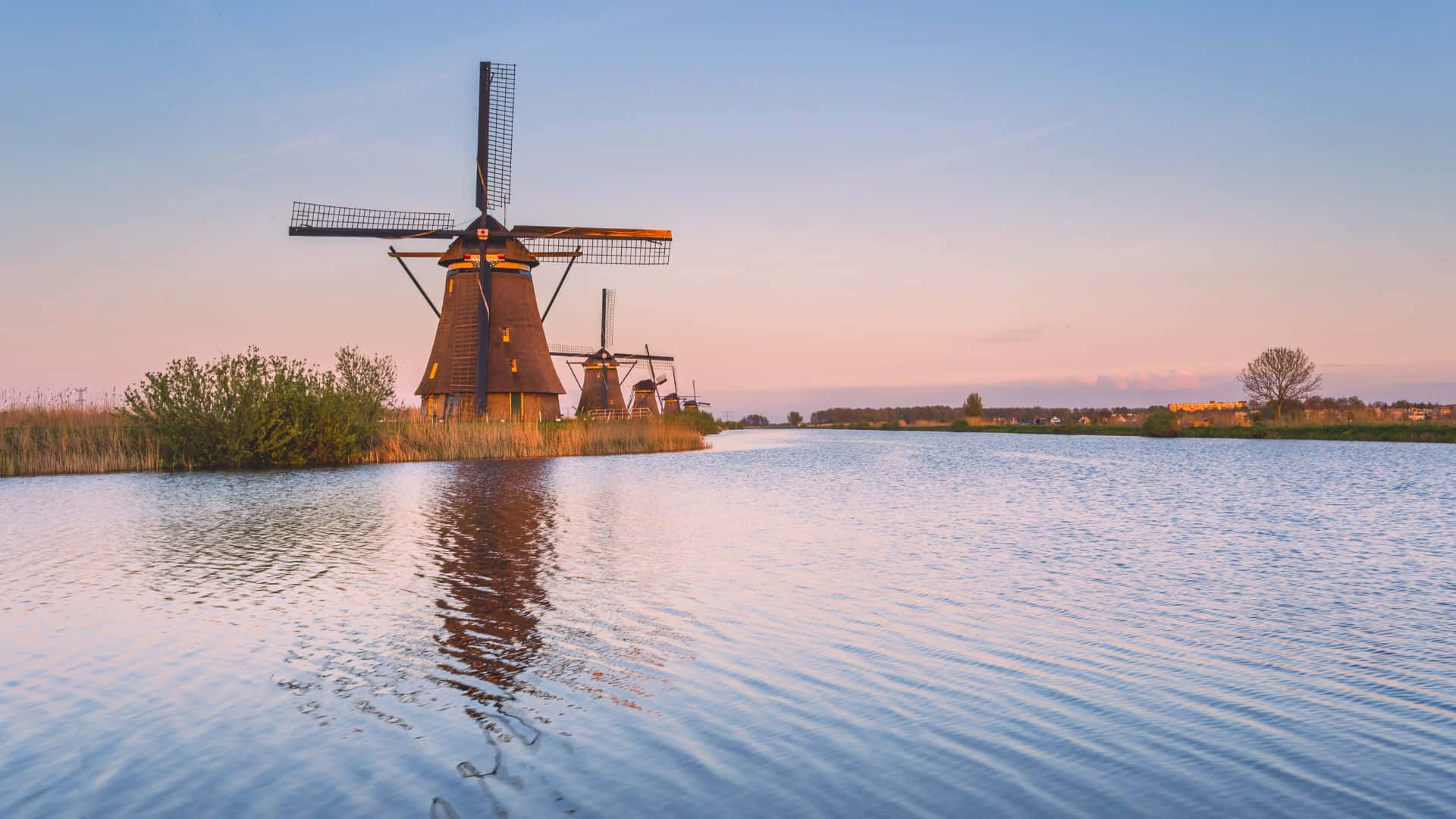 Rotterdam Windmillsat Sunset Wallpaper