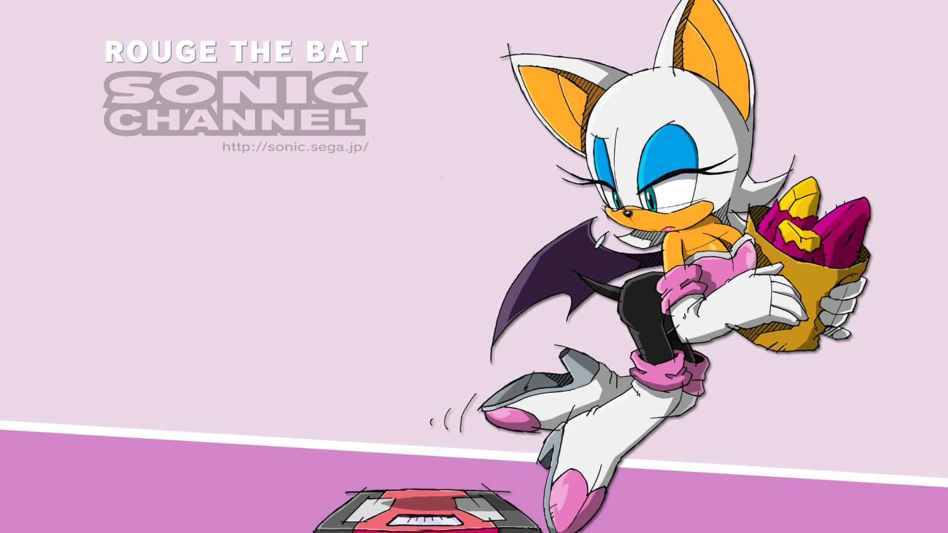 Rouge the Bat in action in a night scene Wallpaper