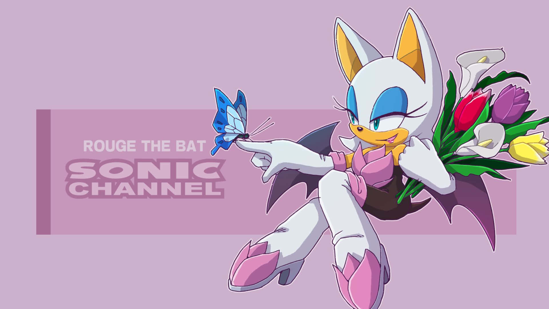 Rouge The Bat Flying High in the Sky Wallpaper