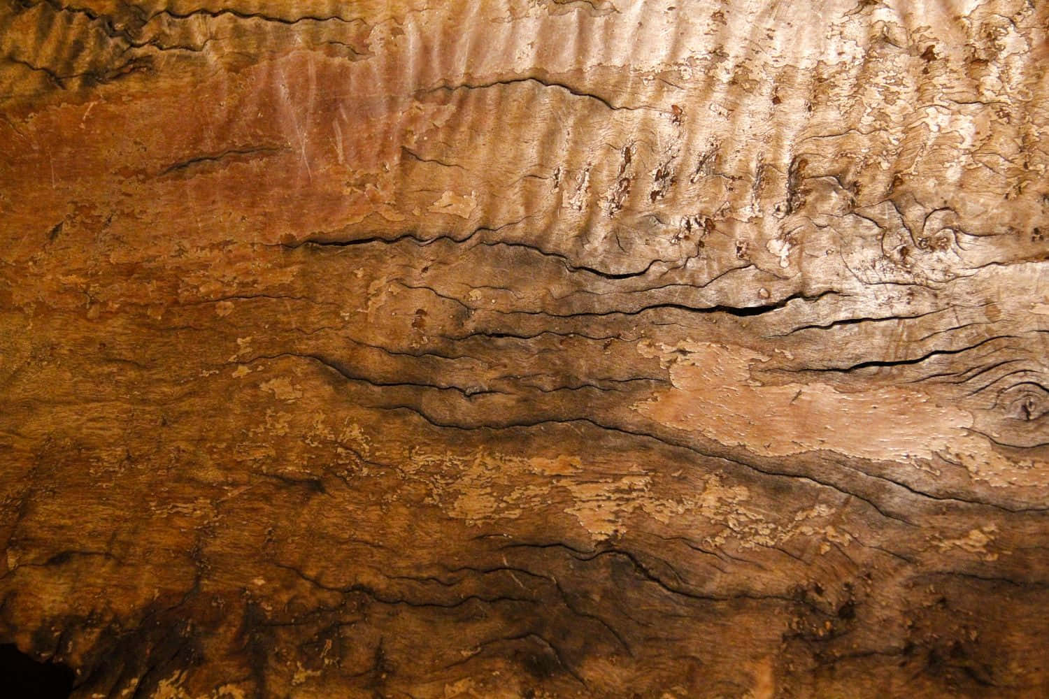 Rough Texture Wood Flat Lay Wallpaper