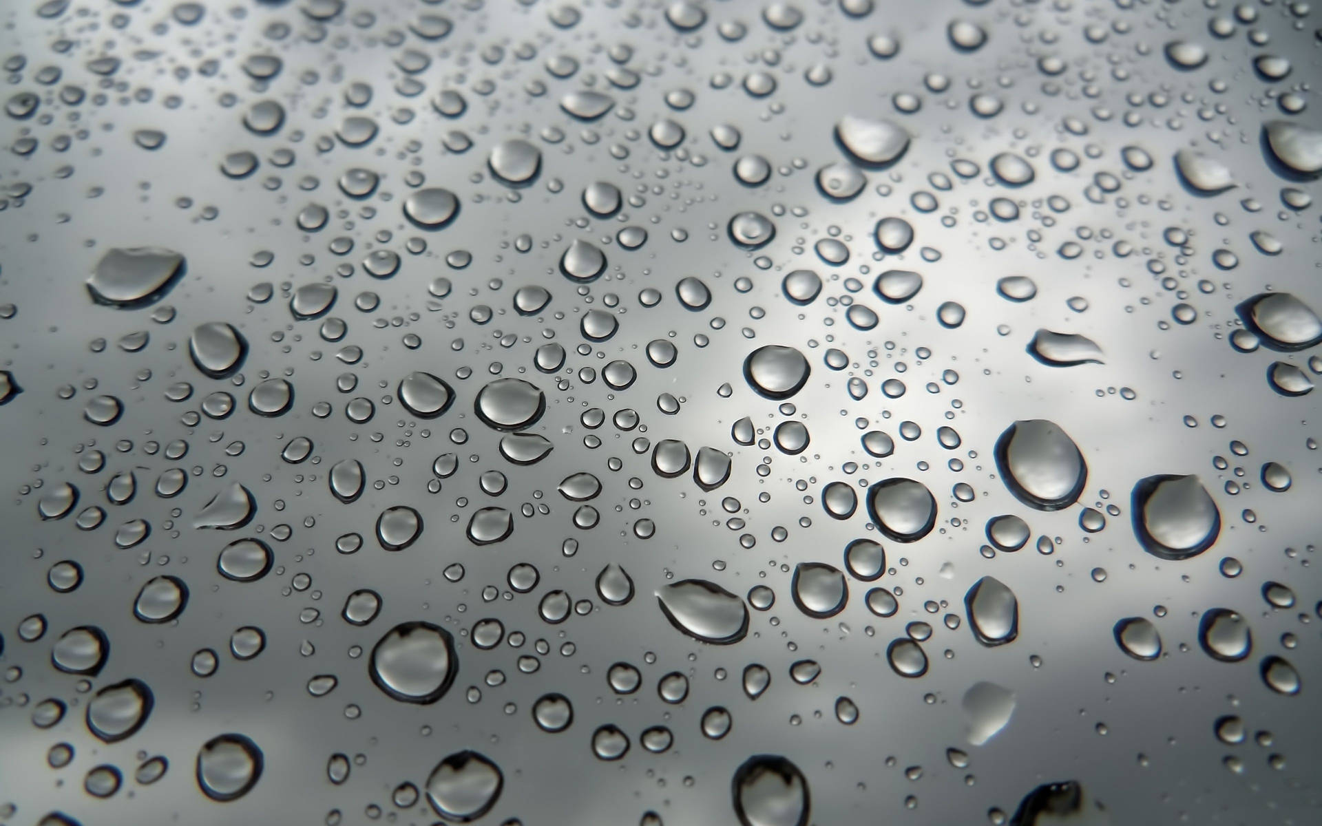 "Close-Up Detail of Raindrops on a Translucent Surface" Wallpaper