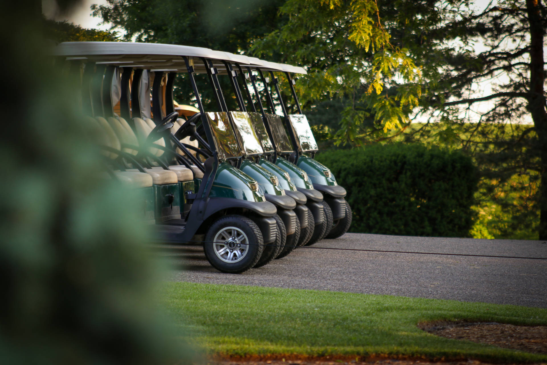 Row Of Golf Course Carts