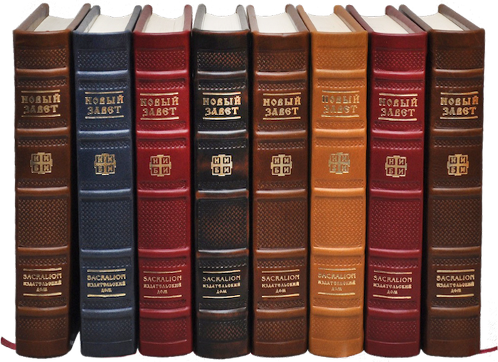 Row_of_ Classic_ Books PNG