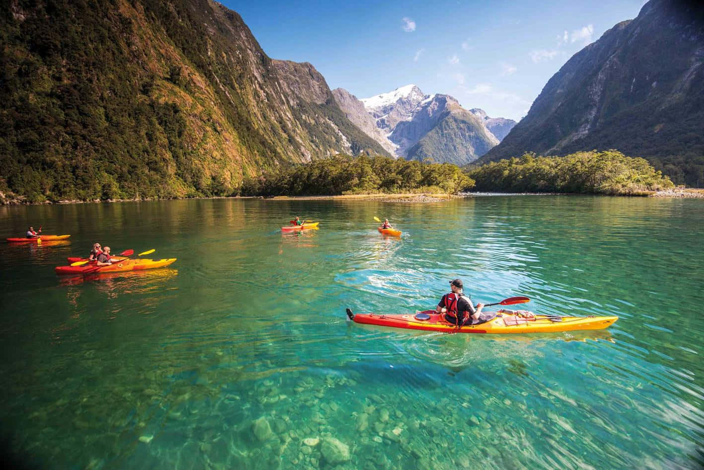 Rowing Boats Milford Sound Wallpaper