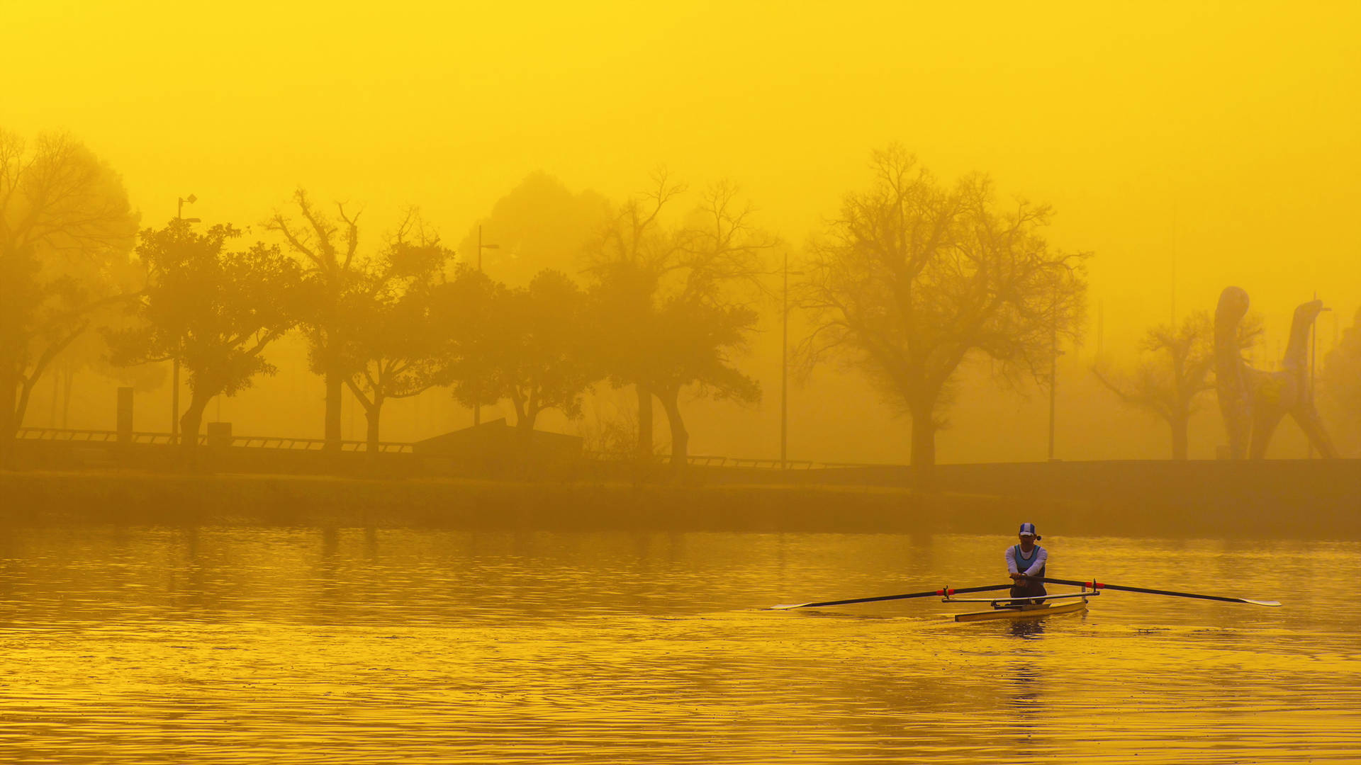 Rowing In The River Wallpaper