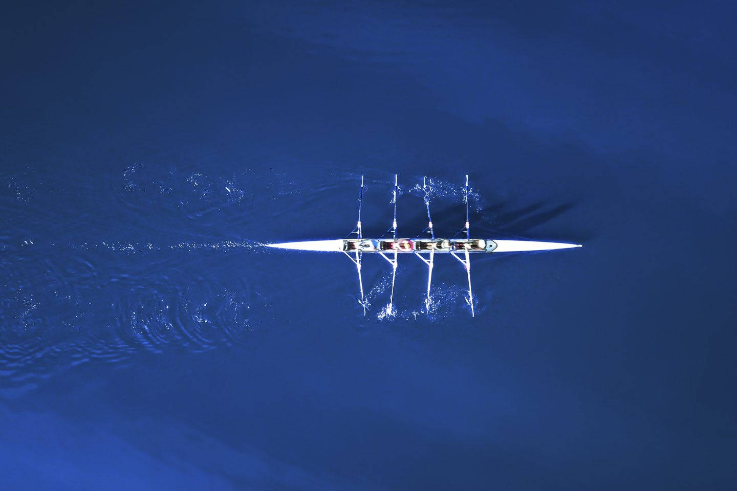 Rowing In The Sea Wallpaper