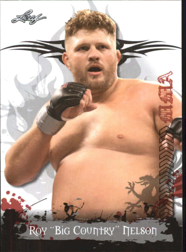 Roy Nelson Big Country Graphic Wallpaper