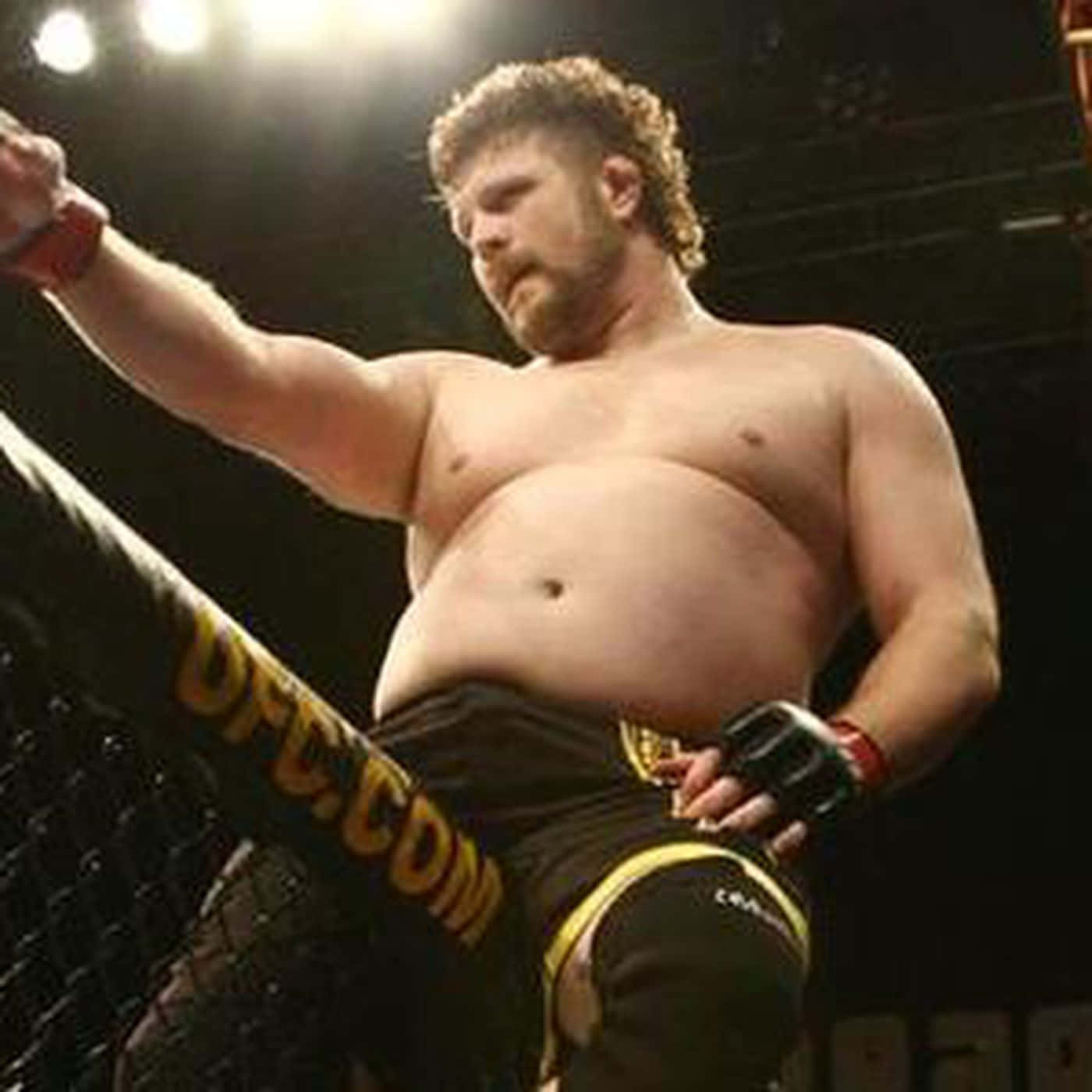 Roy Nelson Celebrates His Win Picture