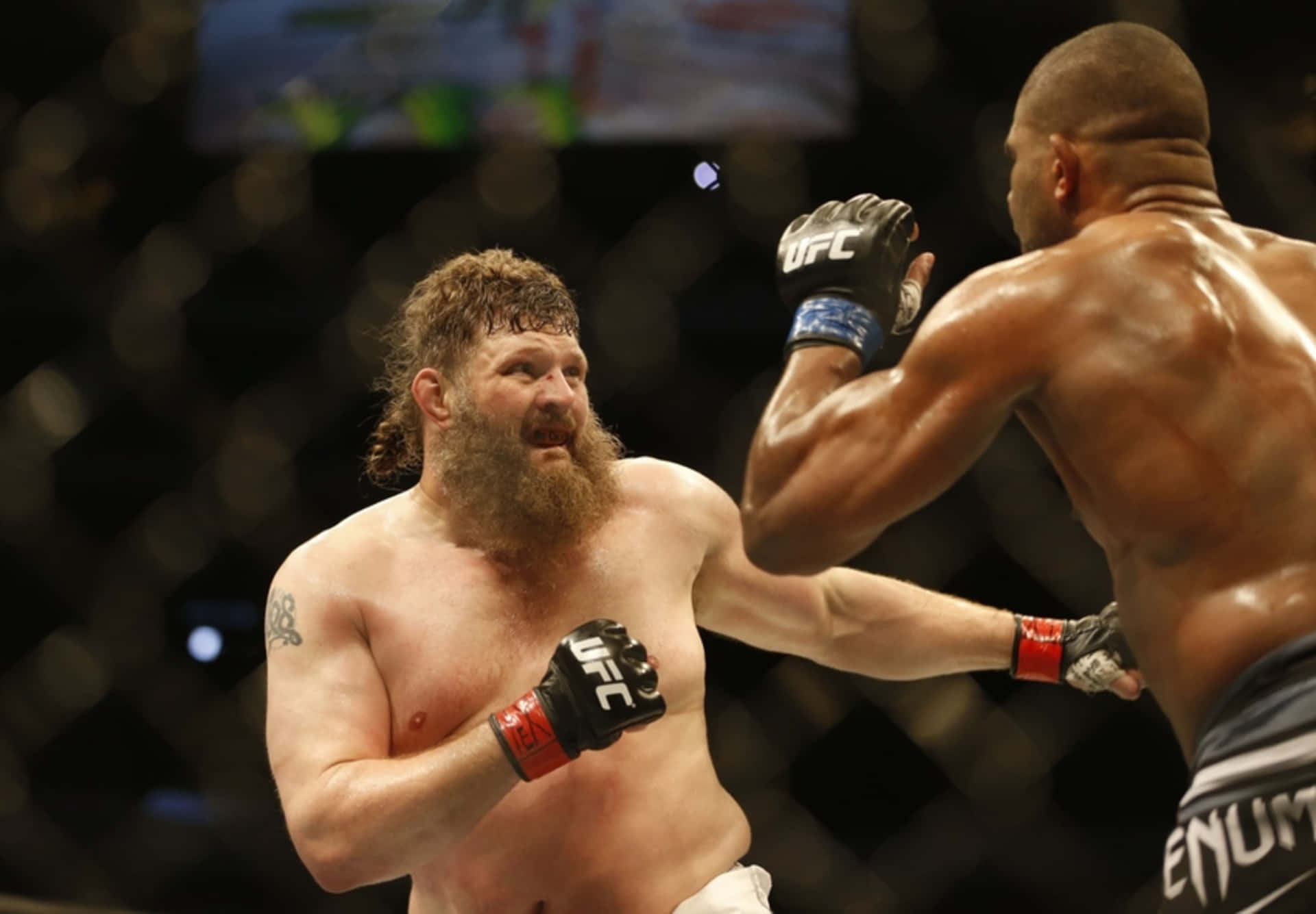 Roy Nelson Fights With Alistair Overeem Wallpaper