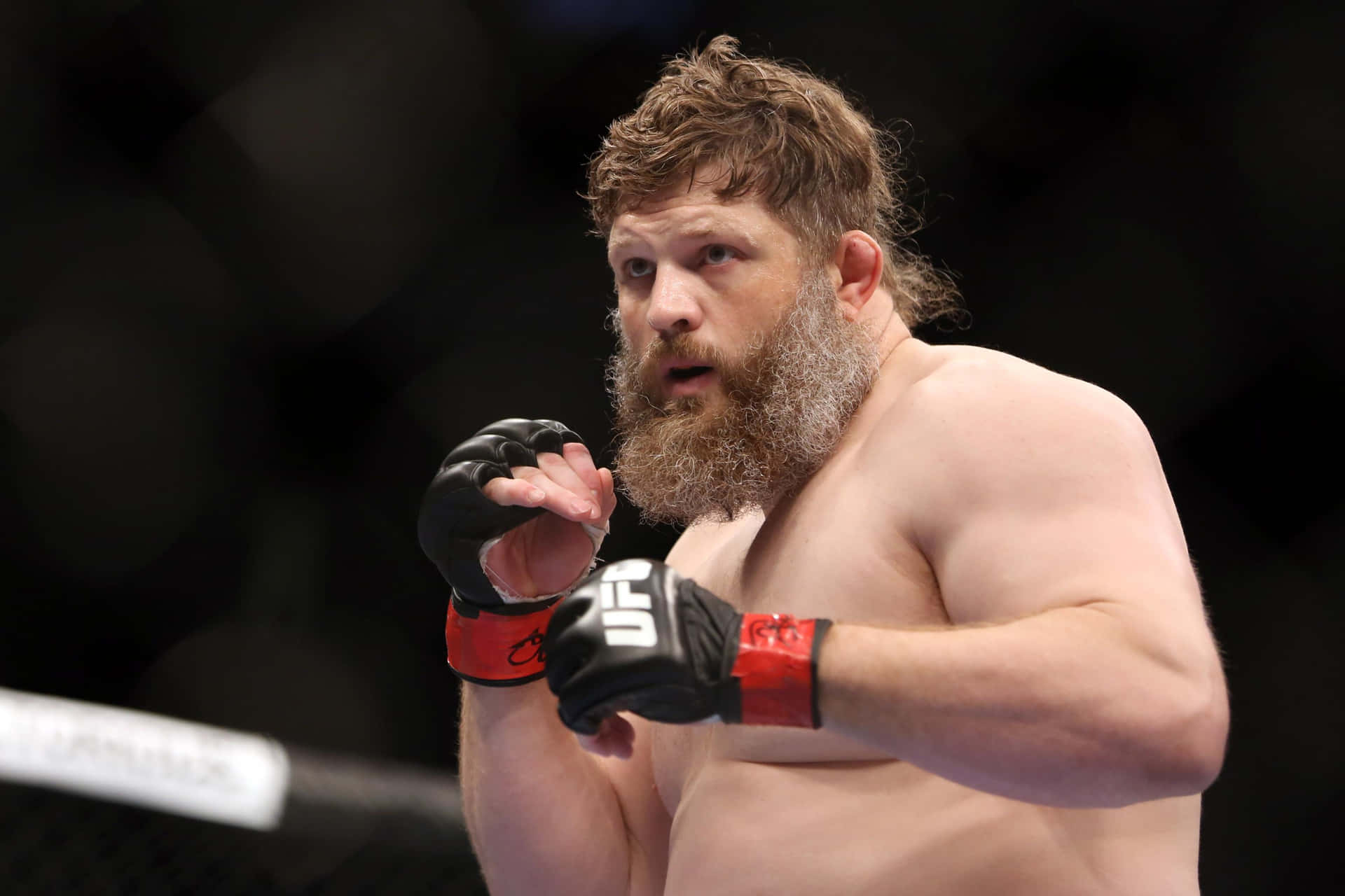 Roy Nelson In Fighting Stance Wallpaper