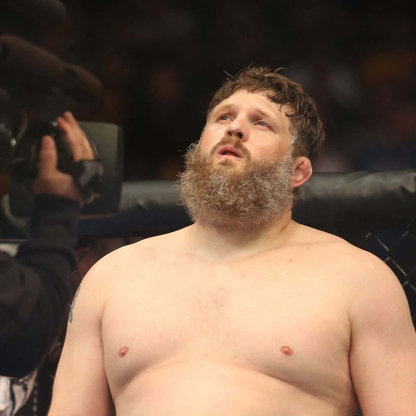 Roy Nelson Looking Up Wallpaper