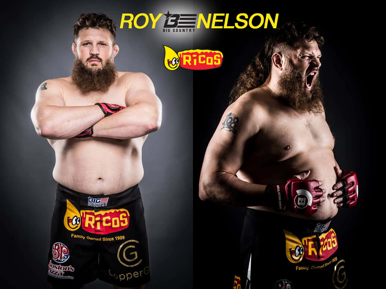 Roy Nelson Professional And Wacky Wallpaper