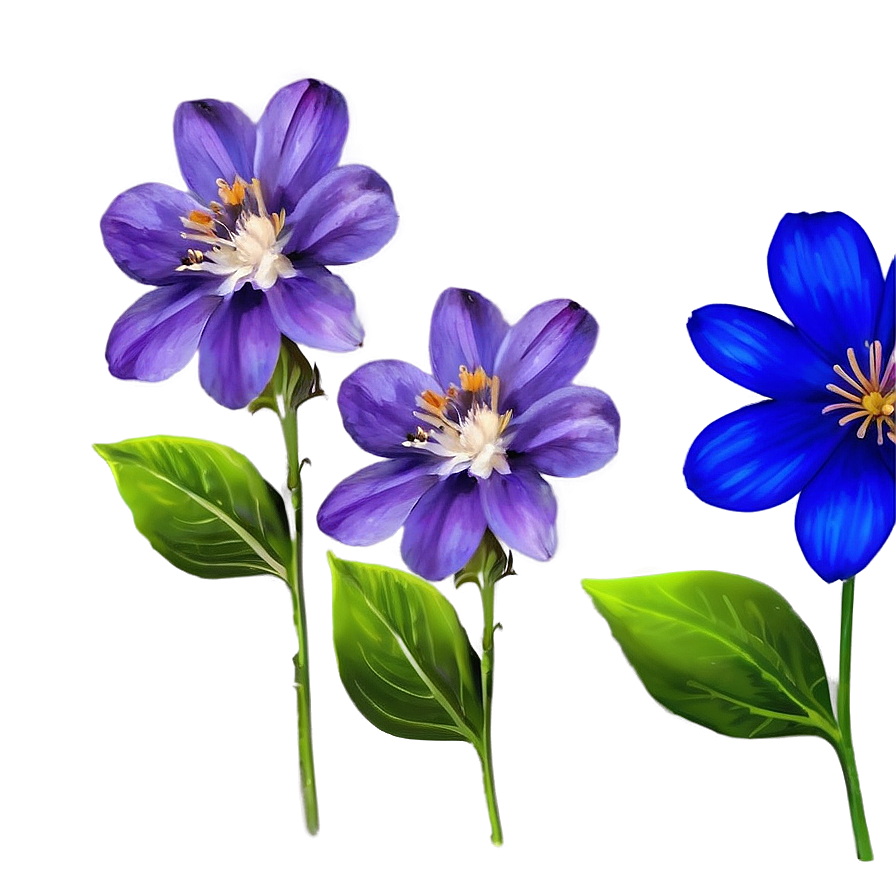 Royal Blue Flower Png Sli PNG