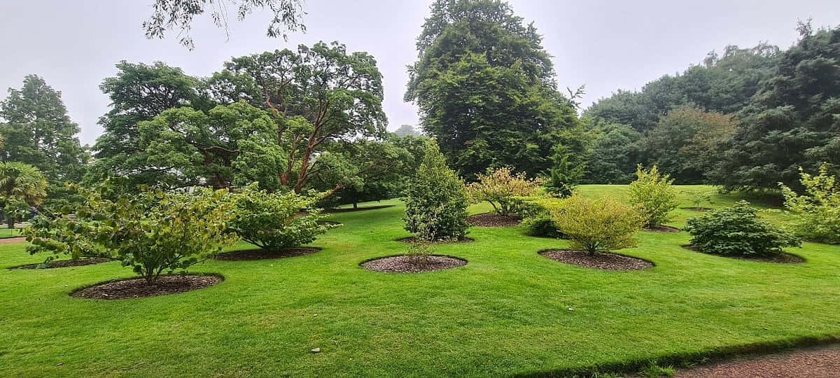 Royal Botanic Garden Edinburgh Greenery Wallpaper