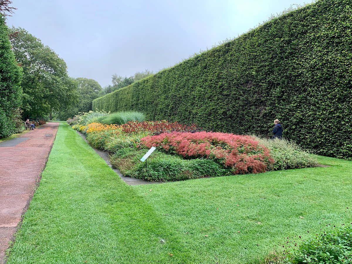 Royal Botanic Garden Edinburgh Pathway Wallpaper