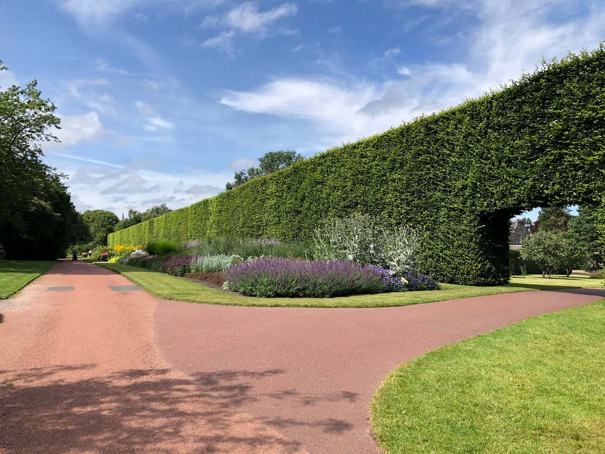 Royal Botanic Garden Edinburgh Pathway Wallpaper