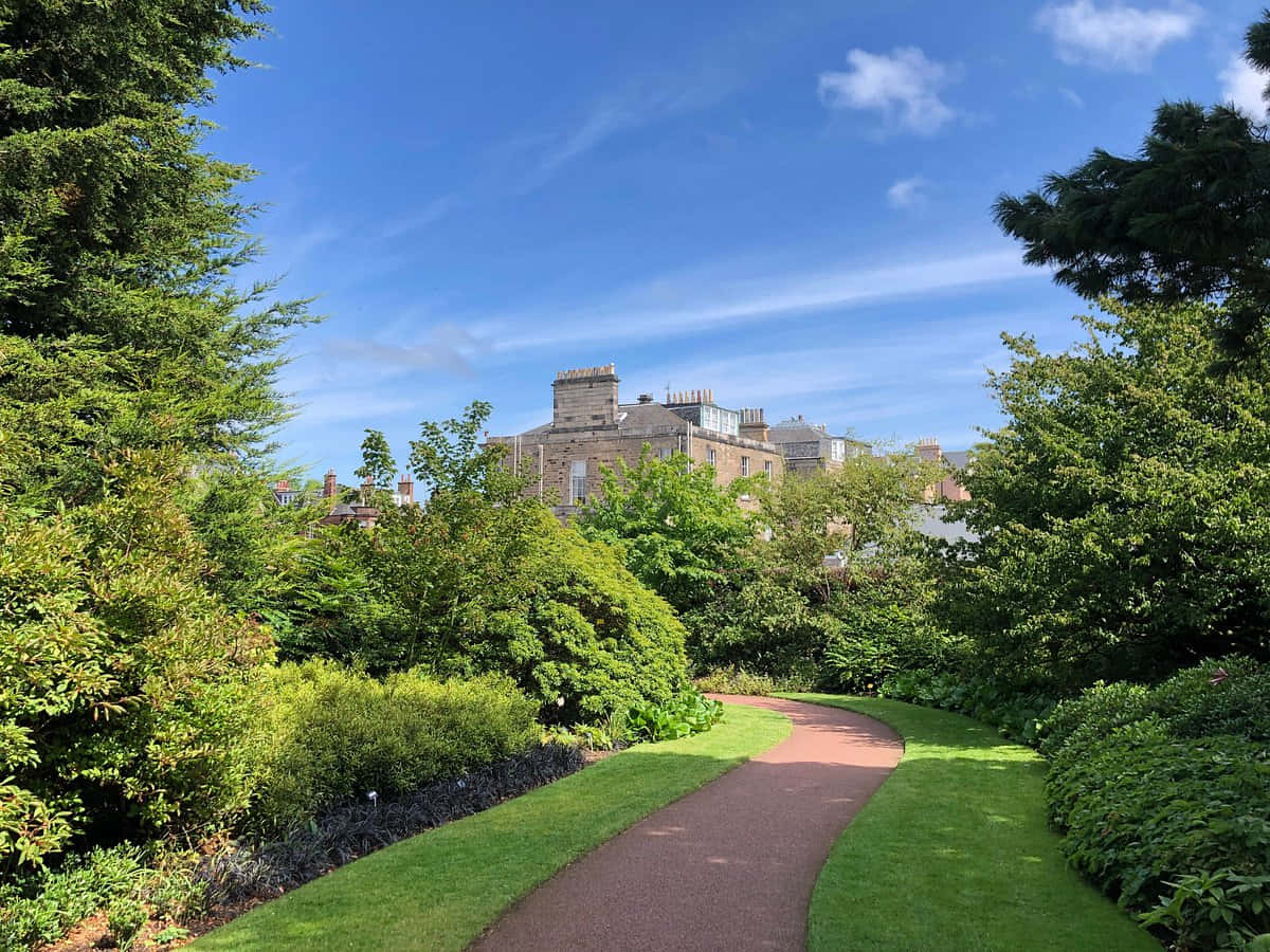 Royal Botanic Garden Edinburgh Pathway Wallpaper