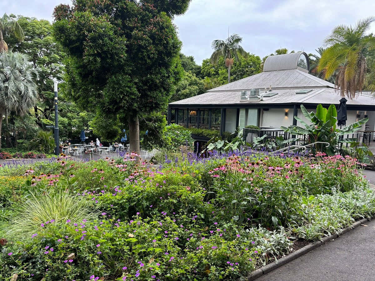 Royal Botanic Garden Sydney Cafeand Flora Wallpaper