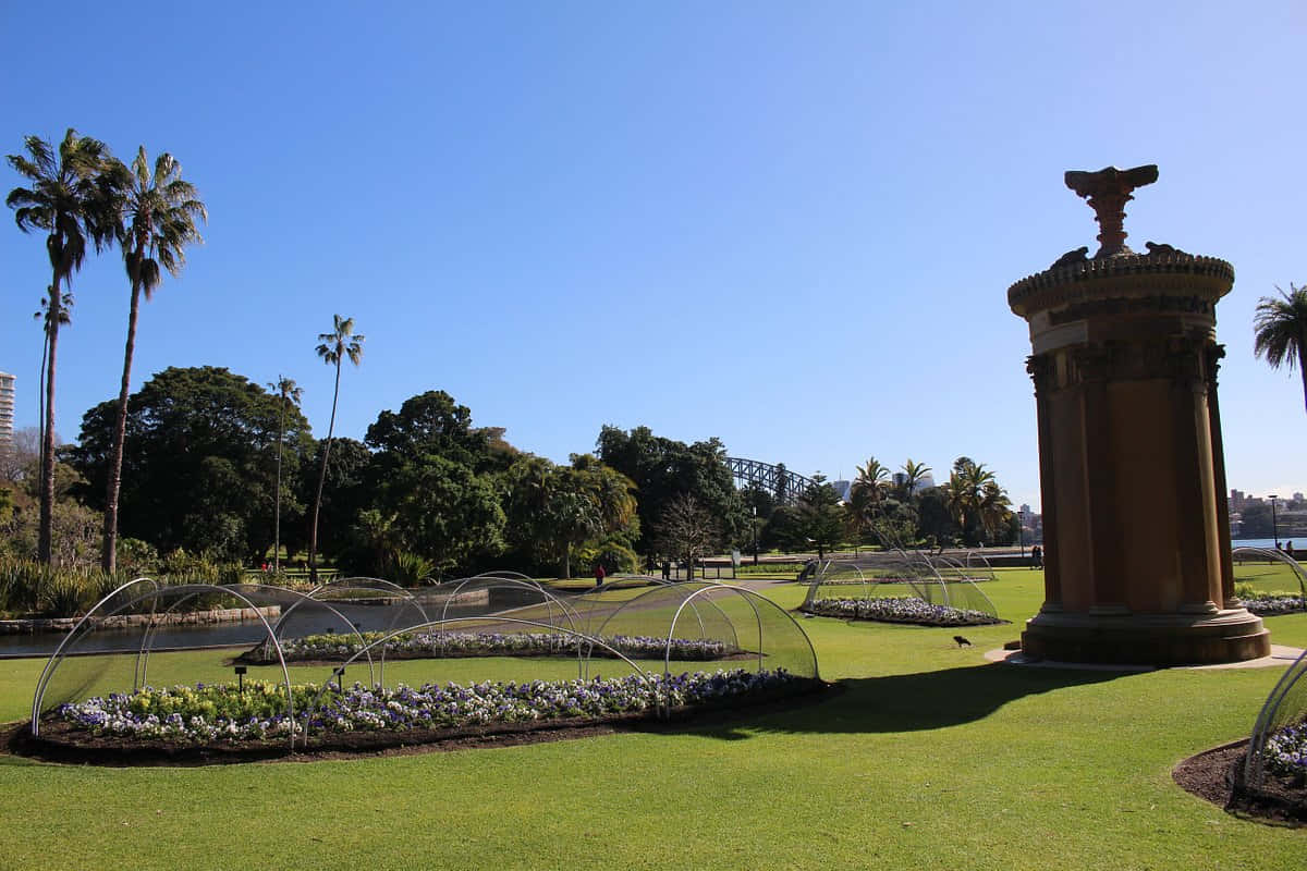 Royal Botanic Garden Sydney Choragic Monument Wallpaper