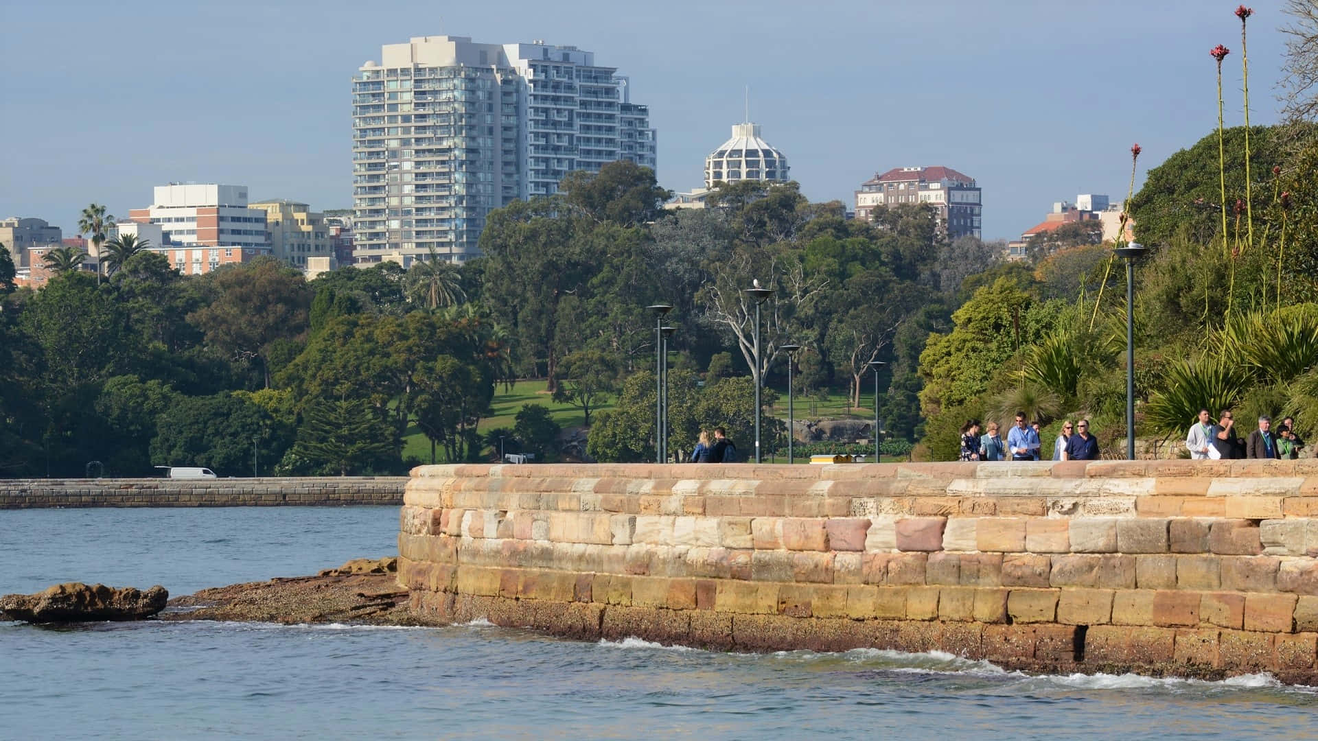 Royal Botanic Garden Sydney Coastline Wallpaper