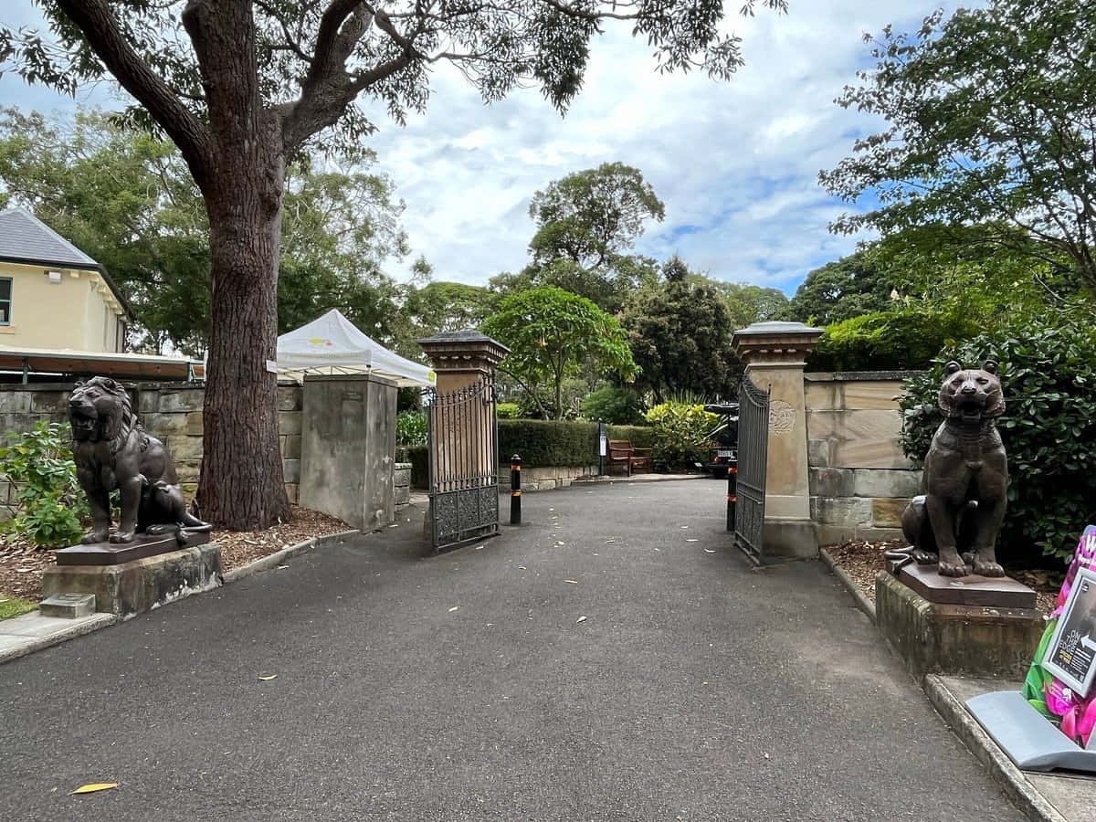 Royal Botanic Garden Sydney Entrance Gate Wallpaper