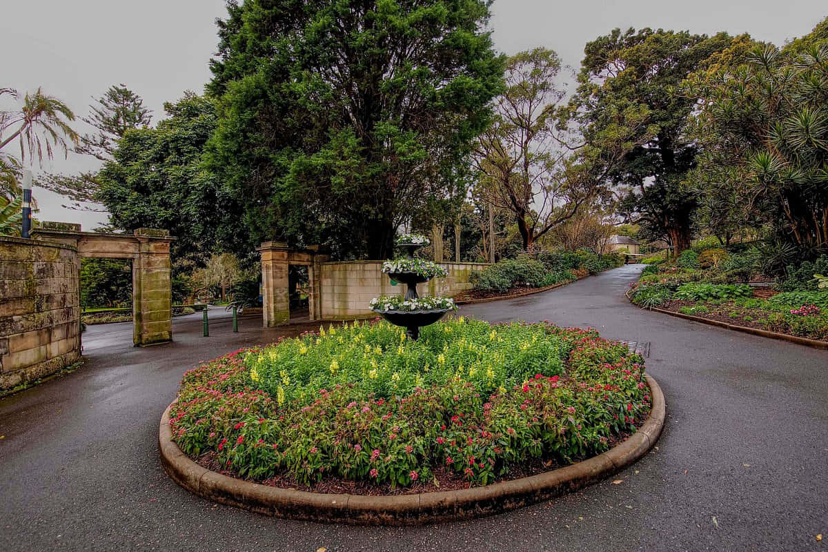 Royal Botanic Garden Sydney Fountain Pathway Wallpaper