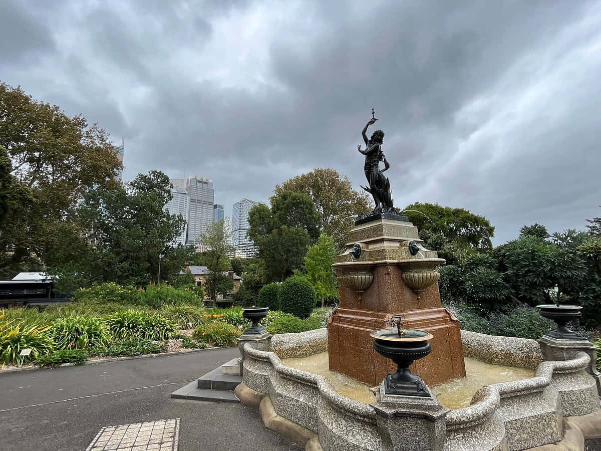 Royal Botanic Garden Sydney Fontein Standbeeld Achtergrond