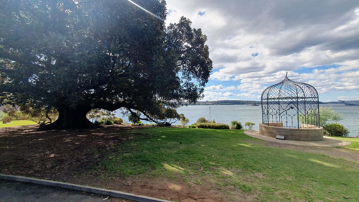 Royal Botanic Garden Sydney Gazebo View Wallpaper