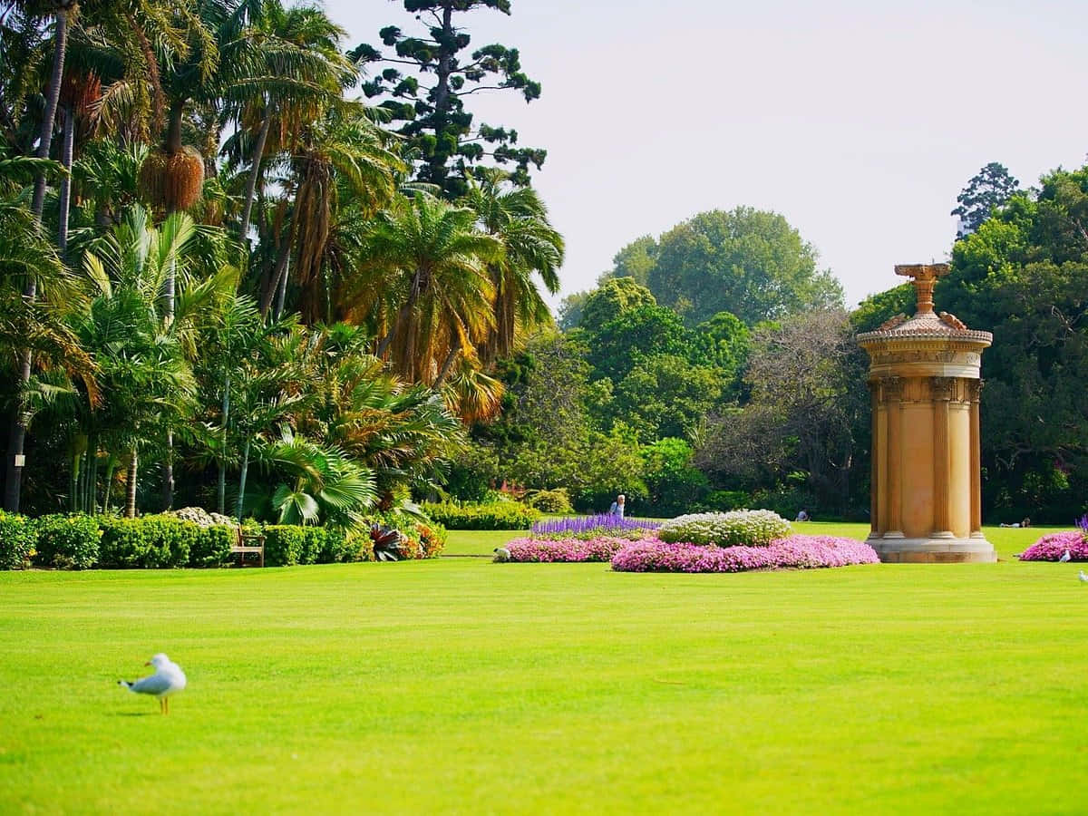 Download Royal Botanic Garden Sydney Greenery Wallpaper | Wallpapers.com