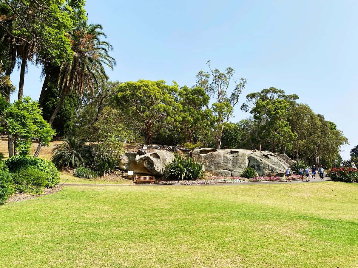 Royal Botanic Garden Sydney Greeneryand Rock Formations Wallpaper